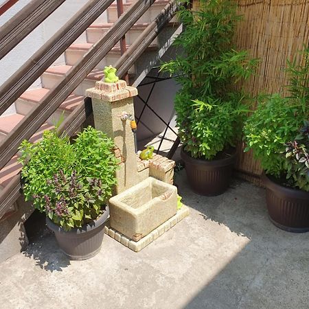 Apartman Djokic 2 Pozarevac Luaran gambar