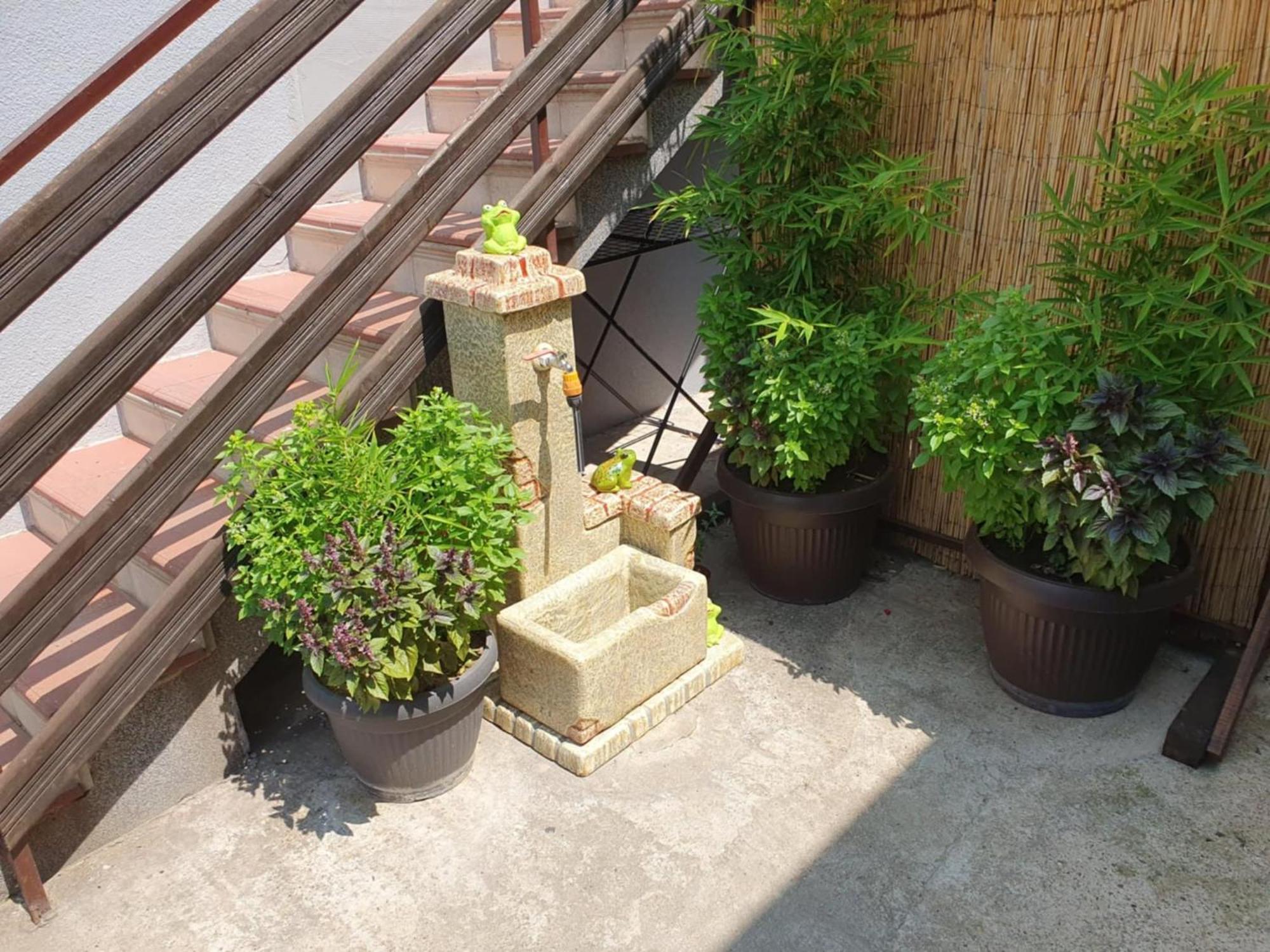 Apartman Djokic 2 Pozarevac Luaran gambar
