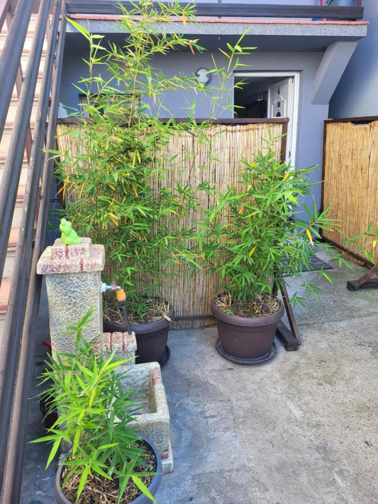 Apartman Djokic 2 Pozarevac Luaran gambar